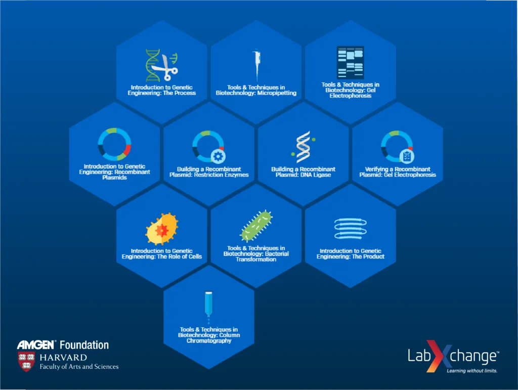 A screenshot of LabXchange's cluster on Foundational Concepts and Techniques in Biotechnology.