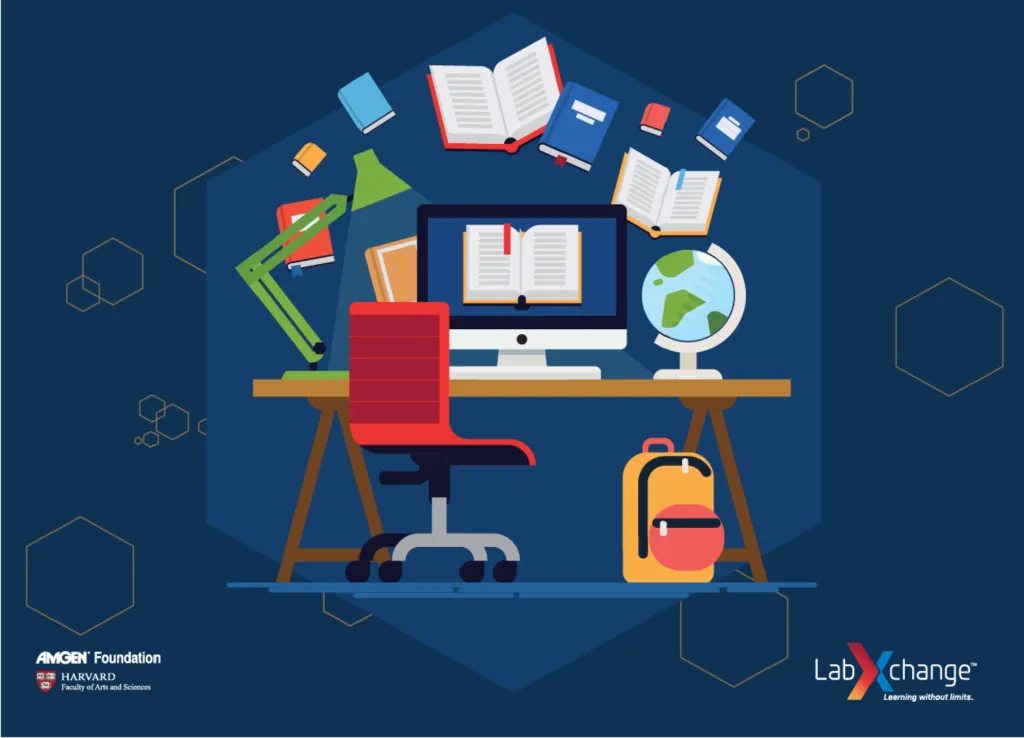 A graphic depiction of remote learning for PD February sessions.