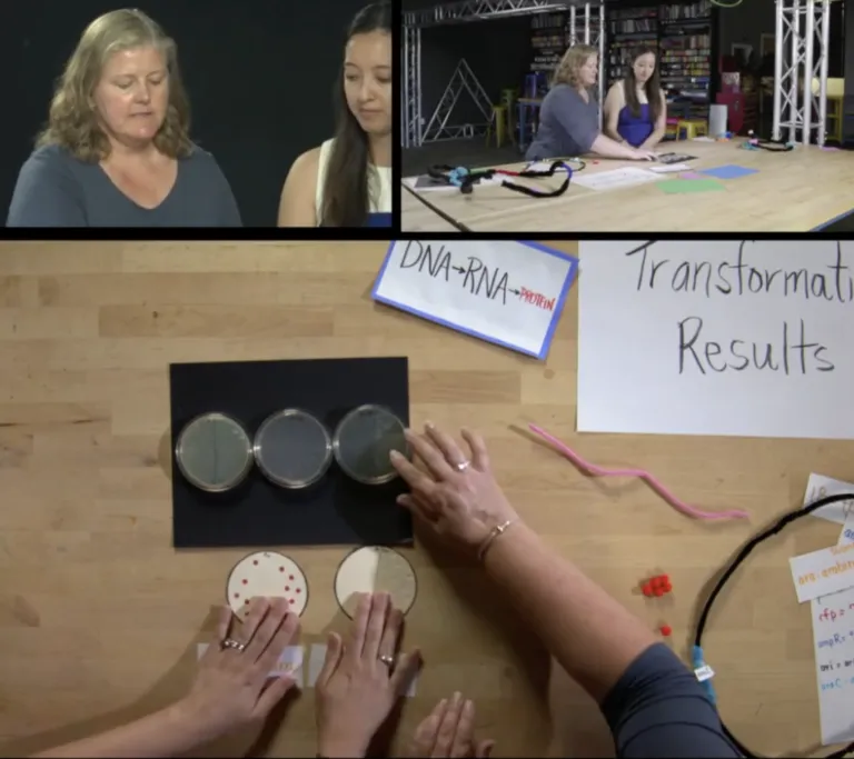 Behind the scenes of filming "Bacterial Transformation"