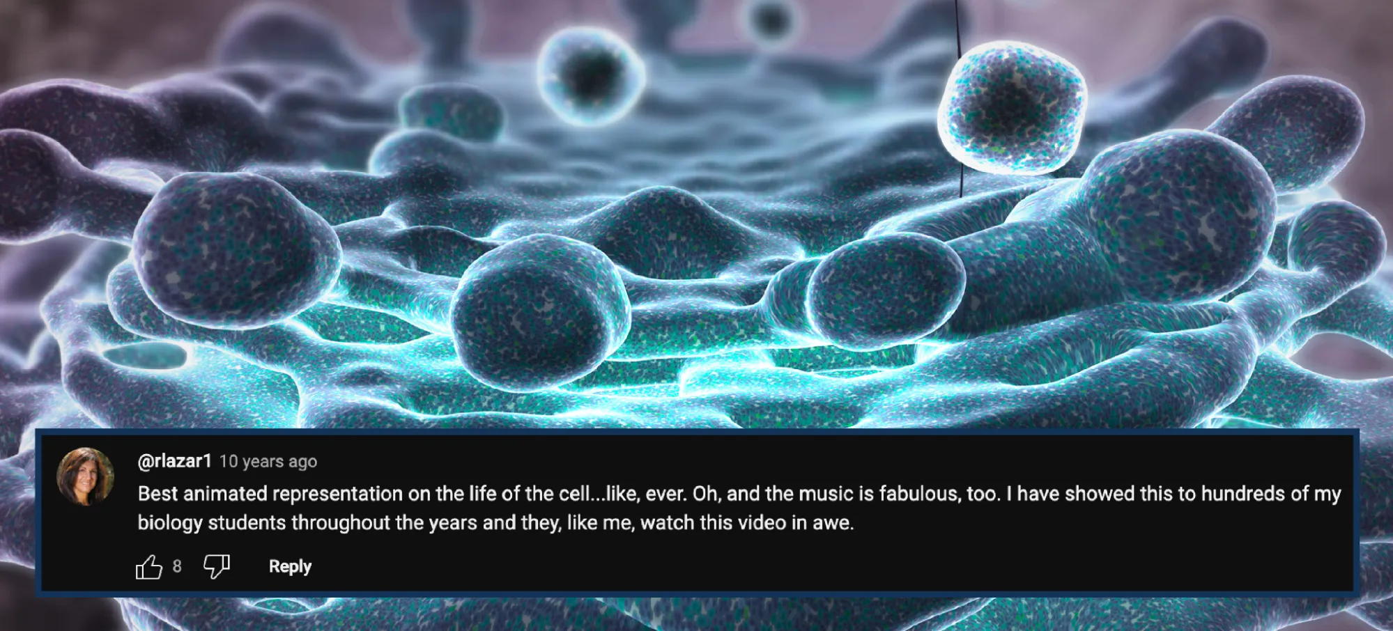 A still from the animation “The Inner Life of the Cell,” showing the Golgi apparatus with newly forming vesicles. The vesicles are blobby blue shapes. A screenshot of a YouTube comment from user @rlazar1 posted 10 years ago reads: Best animated representation of the life of the cell… like, ever. Oh, and the music is fabulous, too. I have showed this to hundreds of my biology students throughout the years and they, like me, watch this video in awe.