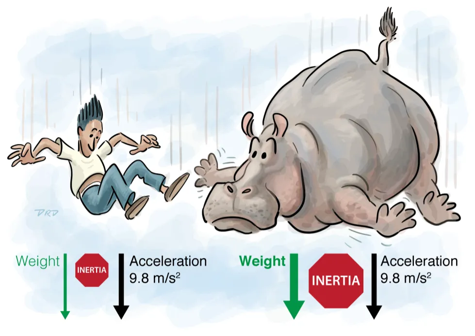 An illustrated human and hippo falling through the air, demonstrating the effect of weight and inertia on acceleration.