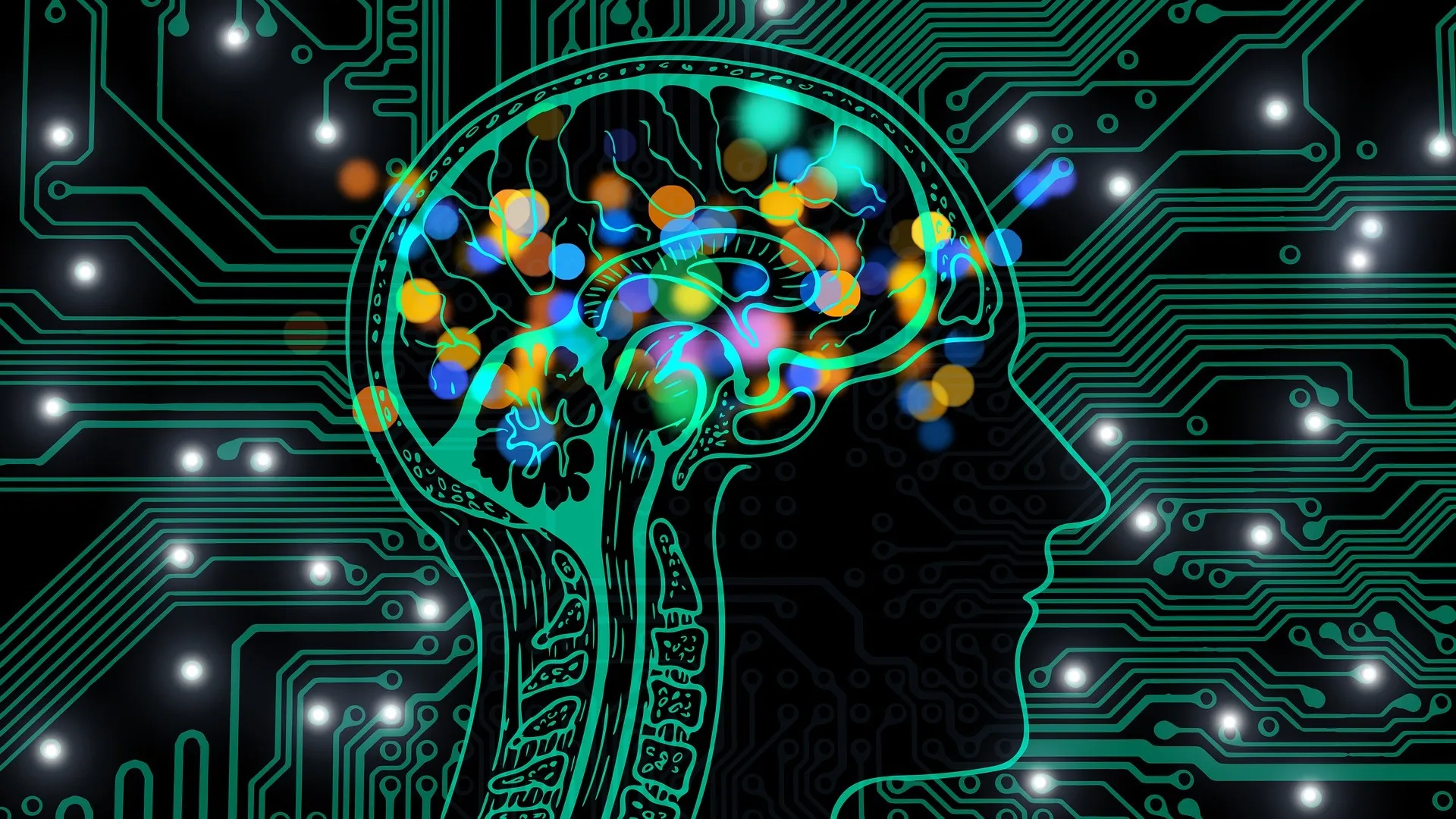 A digitally rendered image of a human head in profile, with glowing, multicolored lights surrounding and emanating from the brain.