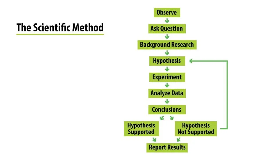 A vertically oriented flow chart diagram showing the steps of the scientific method. The text of the steps read: "Observe, Ask Question, Background Research, Hypothesis, Experiment, Analyze Data, Conclusions, Hypothesis supported, Hypothesis not supported, Report Results"