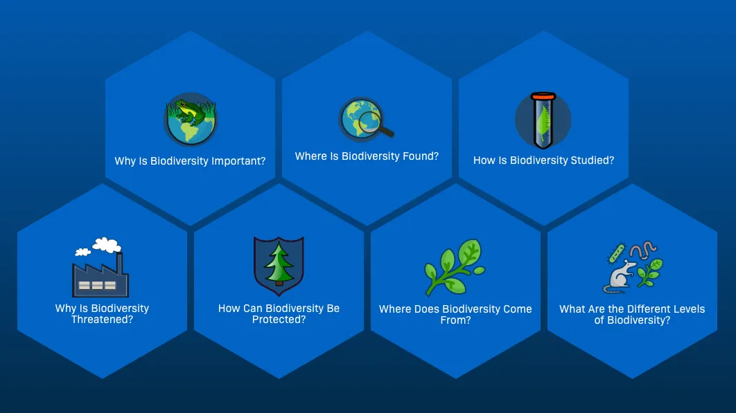 Seven light blue hexagons on a dark blue gradient background. The hexagons each contain a picture and text that correspond to one of the seven pathways in the Biodiversity Course cluster. From left to right, the hexagons contain: a frog on top of half of the globe alongside the text "Why Is Biodiversity Important?"; a magnifying glass peering at the Earth alongside "Where Is Biodiversity Found?"; a leaf in a test tube alongside "how Is Biodiversity Studied?"; a factory with clouds billowing out alongside "Why Is Biodiversity Threatened?"; a tree within a shield alongside "How Can Biodiversity Be Protected?"; a branch of a tree with leaves alongside "Where Does Biodiversity Come From?"; and a rat, earthworm, bacterium, and leaves alongside "What Are the Different Levels of Biodiversity?"