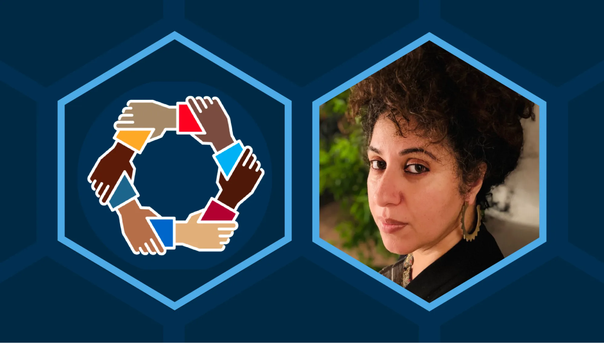 Two hexagons, one containing a portrait of Dr. Bita Amani, and the other containing the RDEISE logo (a circle formed by hands of different skin tones holding each other by the wrist). Dr. Amani is a Black woman with long, curly hair tied in a high ponytail on the top of her head; she’s wearing gold hoop earrings with a triangular pattern on them and a black collared blazer. She’s staring directly into the camera with a slight smile.