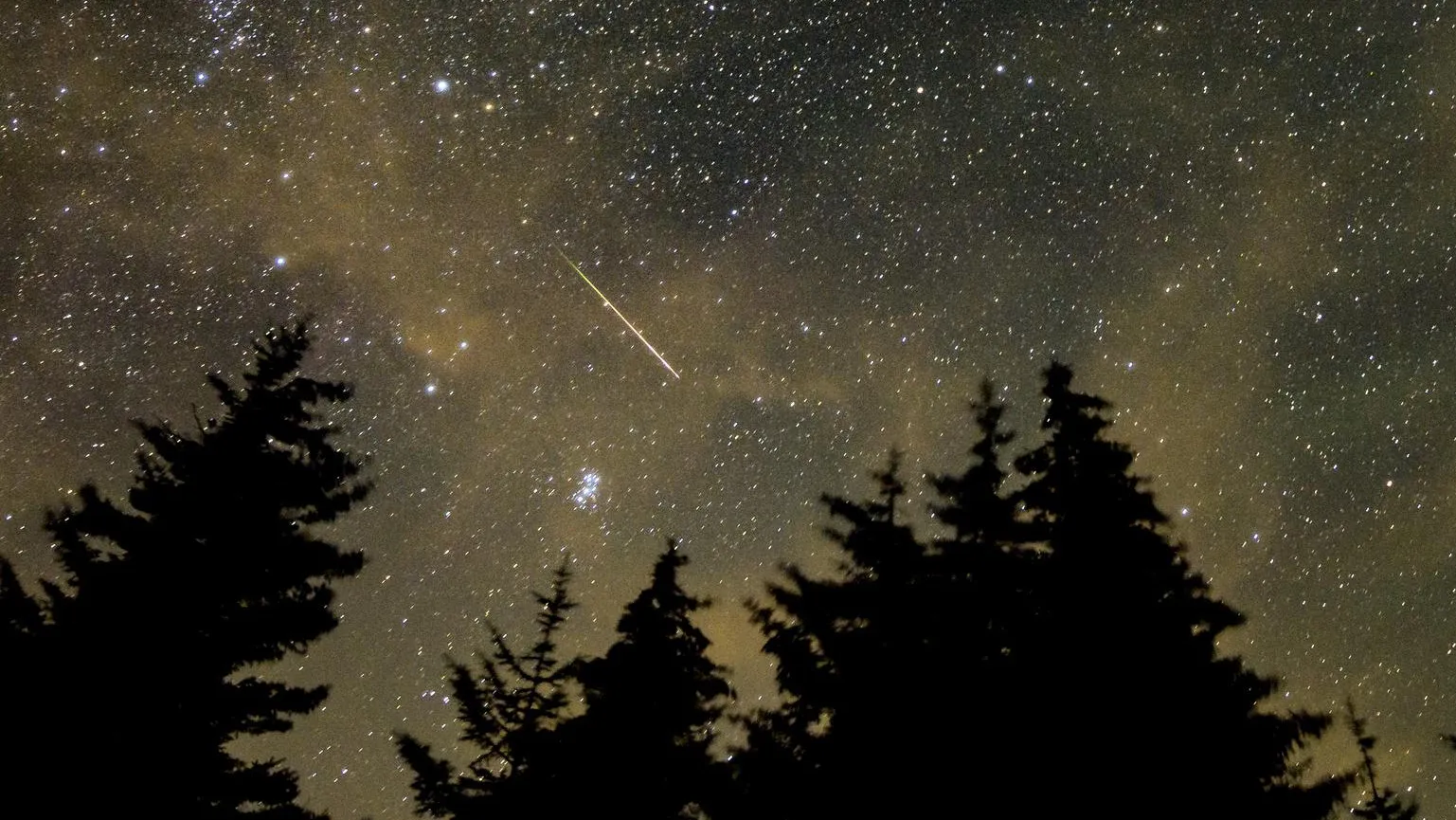 During the Perseid meteor shower, a meteor streaks by n the night sky, which is full of stars and he glow of the galaxy. In the foreground are the dark silhouettes of large evergreen trees.