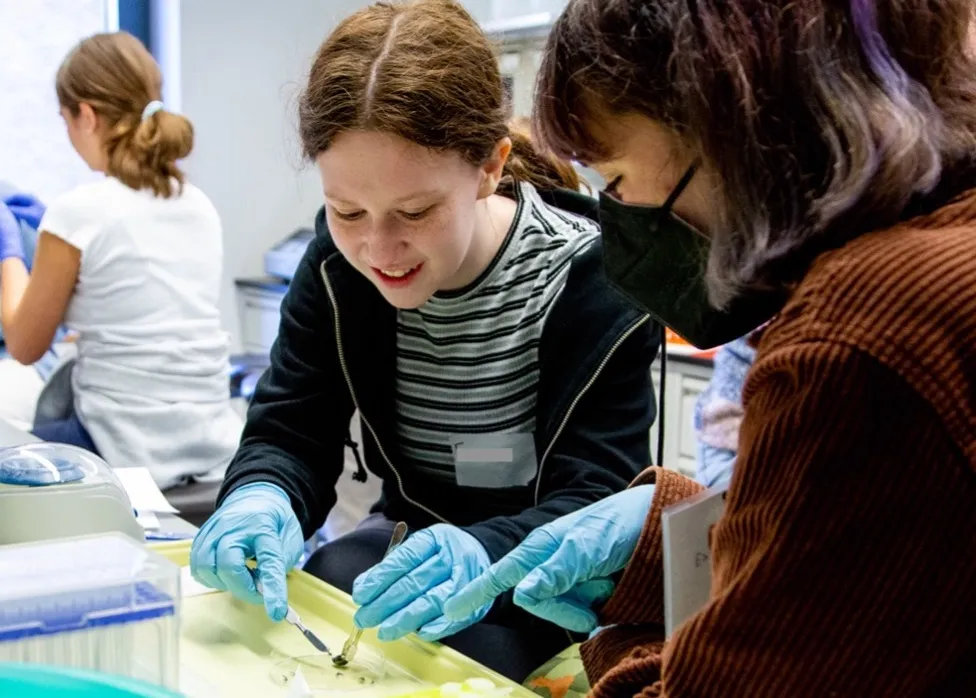 A student wearing blue latex gloves uses a scalpel and forceps to pick apart material in a petri dish while another student looks on.