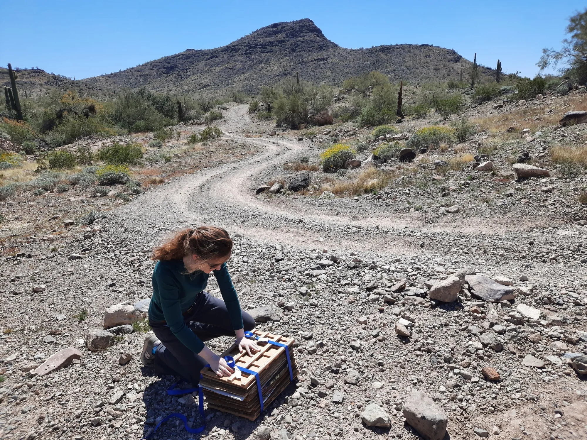 A woman kneels next to a box in the foreground; she is securing the box with straps. The background consists of an arid, rocky desert scene, with cacti, shrubs, and a dirt road.