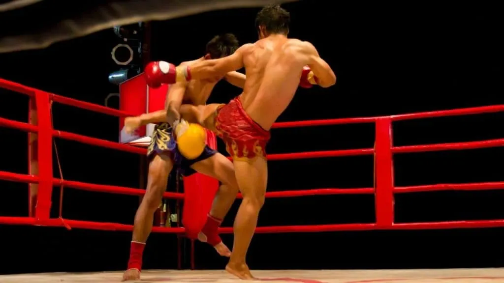 muay thai