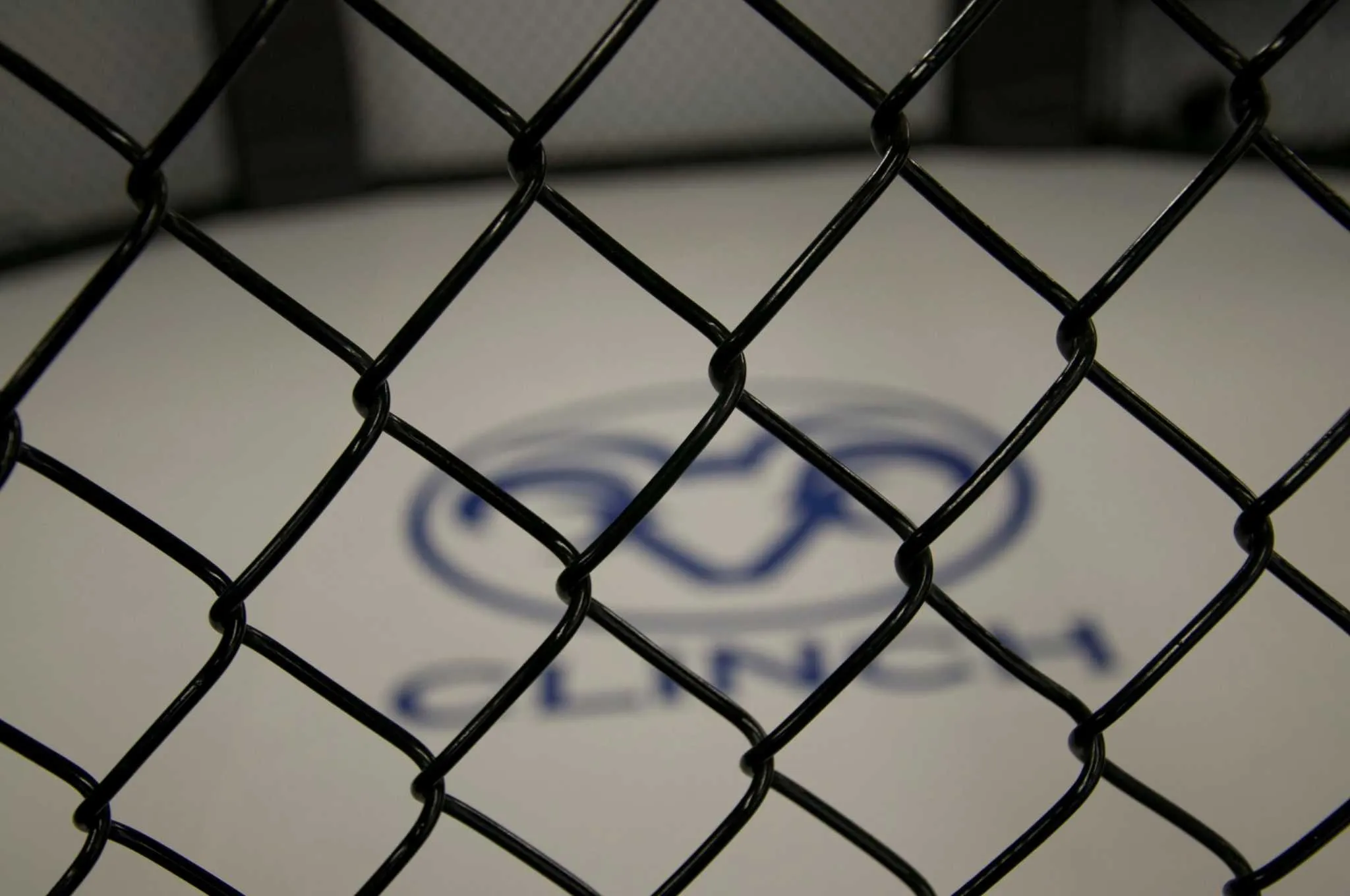 Destroy Your Competition: Pick the Best Weight Class in MMA