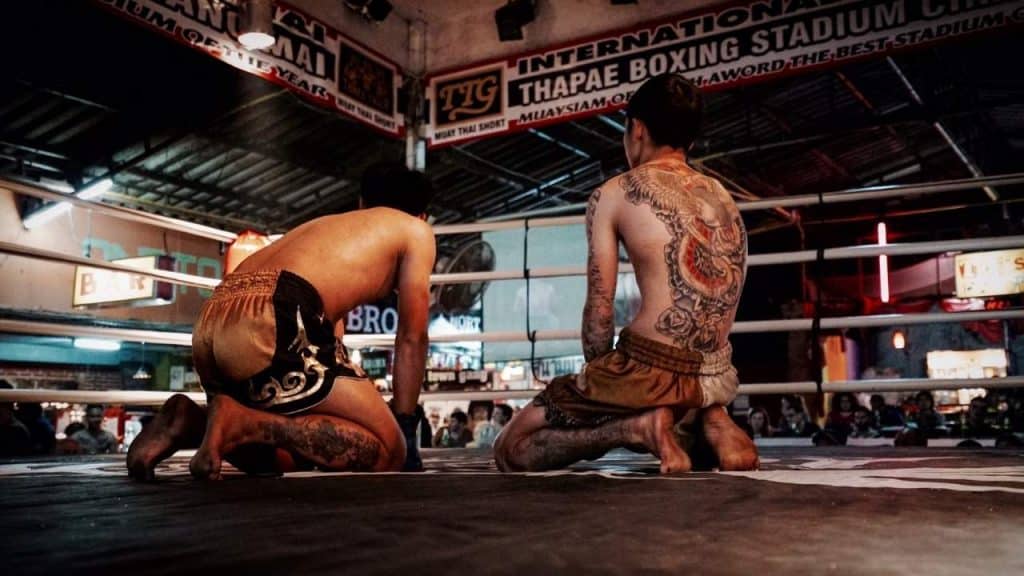 vale tudo martial arts