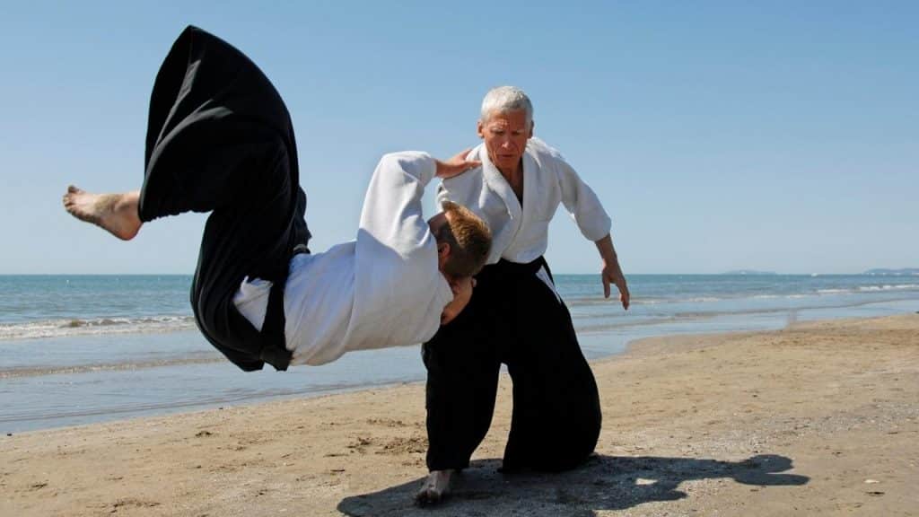 aikido in mma