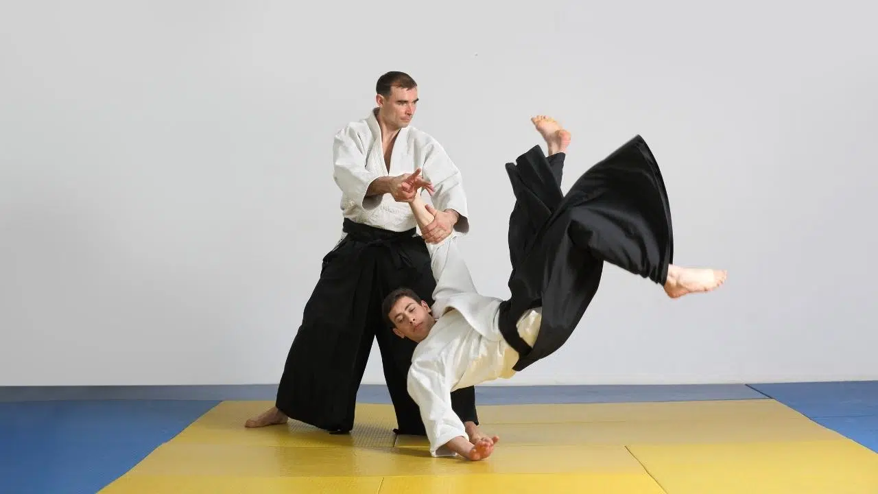 Aikido in MMA: Is Aikido Effective In The UFC?