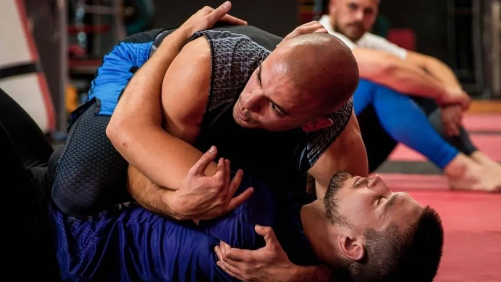 Luta Livre Belt System