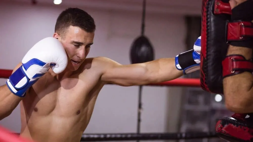 regulation muay thai glove size