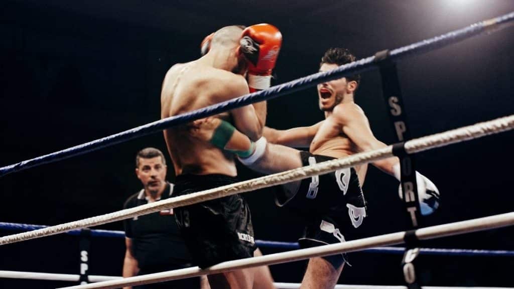 Martial arts in mma