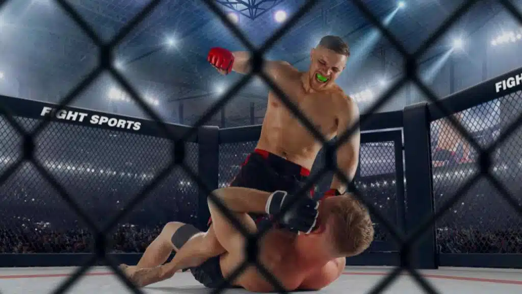 15 Best MMA Fighters of All Time