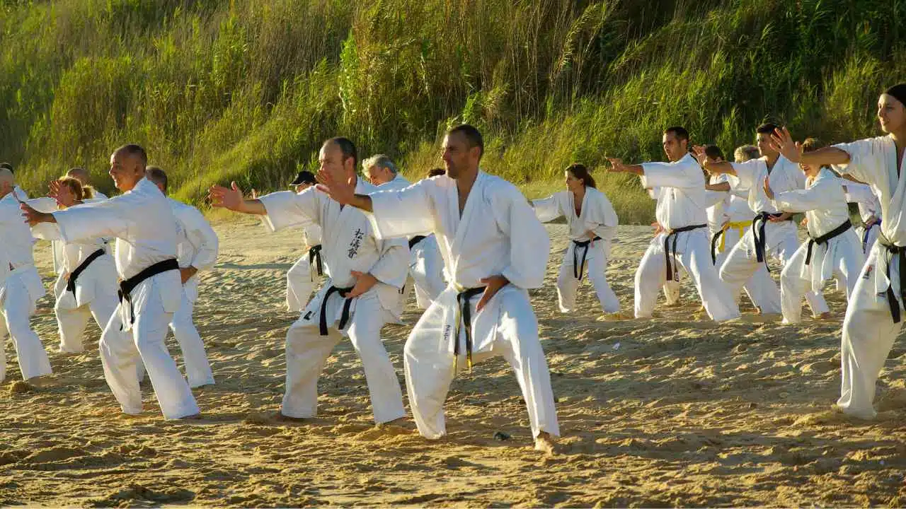 How long to get a karate black belt? Discover how long it takes to earn a black belt in karate and the factors that influence the time frame.