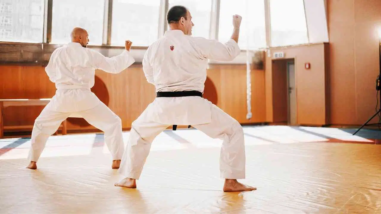 When was karate created? In this article, we'll go over the evolution of karate and the rise and fall of its popularity.