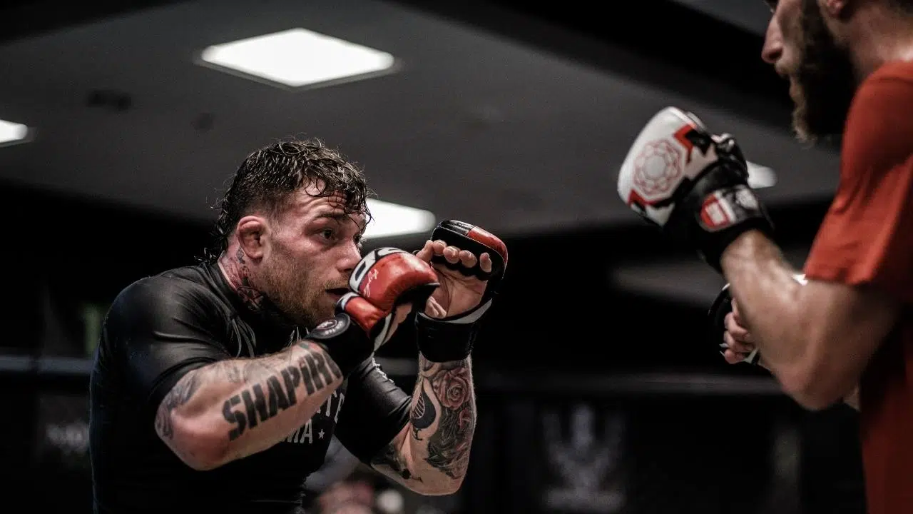 In this article we discuss everything you need to know about your first MMA class. We also give you 8 tips for how to survive your first MMA class.