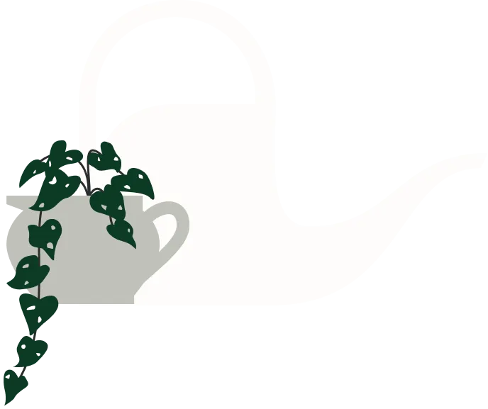 A watering can and plant