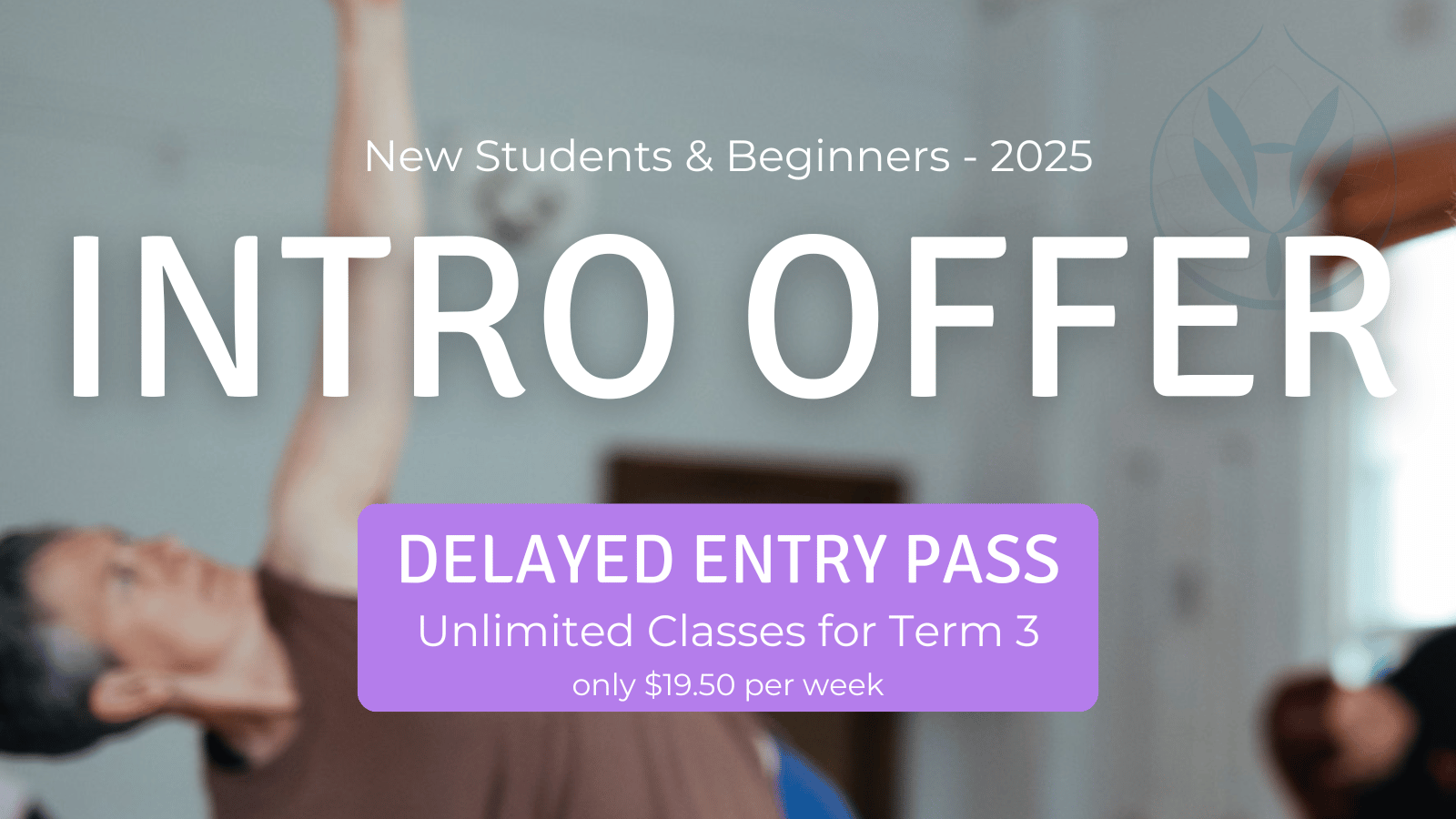 Intro Offer Beginners Classes
