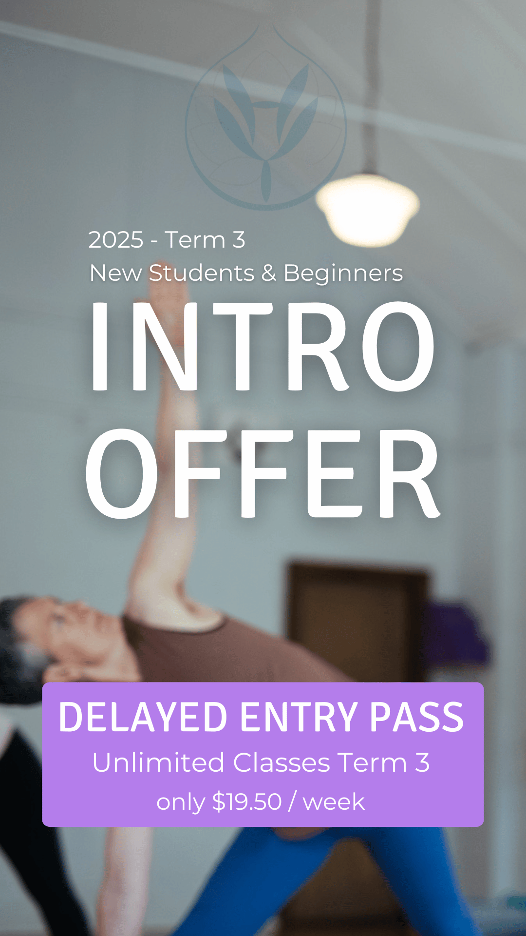 Intro Offer Beginners Classes