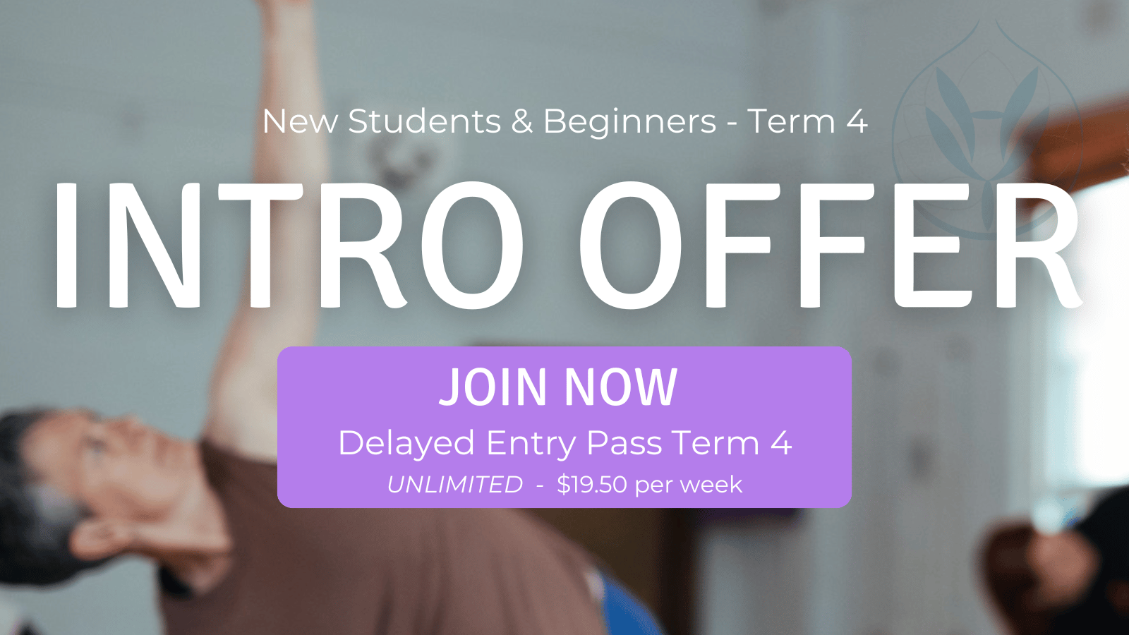 Intro Offer Beginners Classes