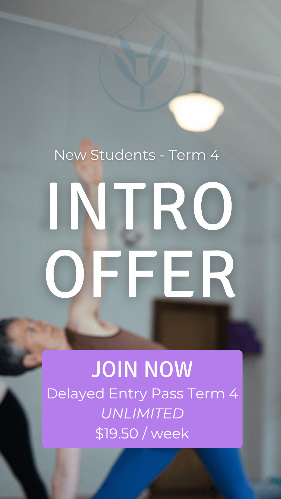 Intro Offer Beginners Classes