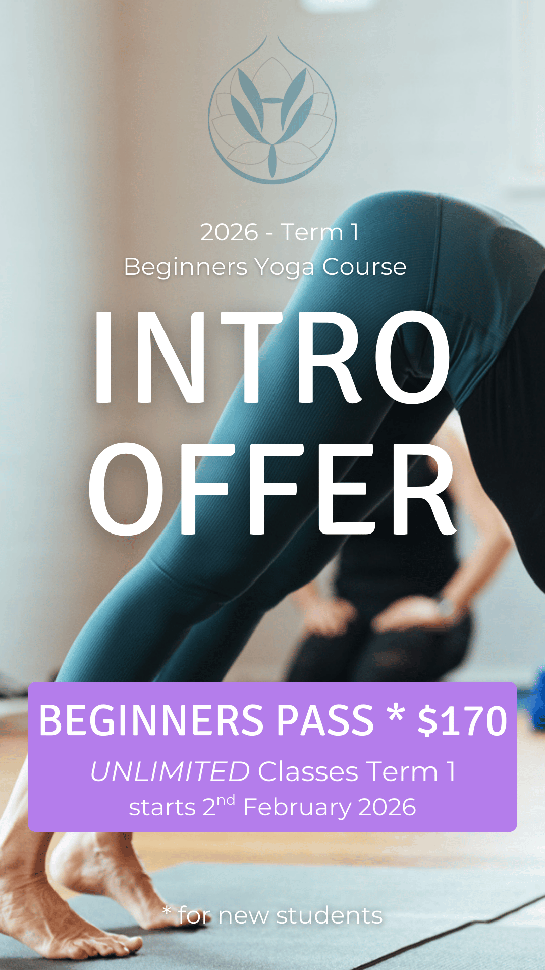 Intro Offer Beginners Classes