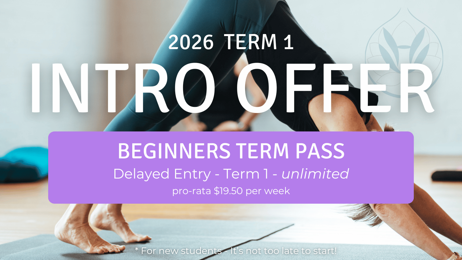 Intro Offer Beginners Classes