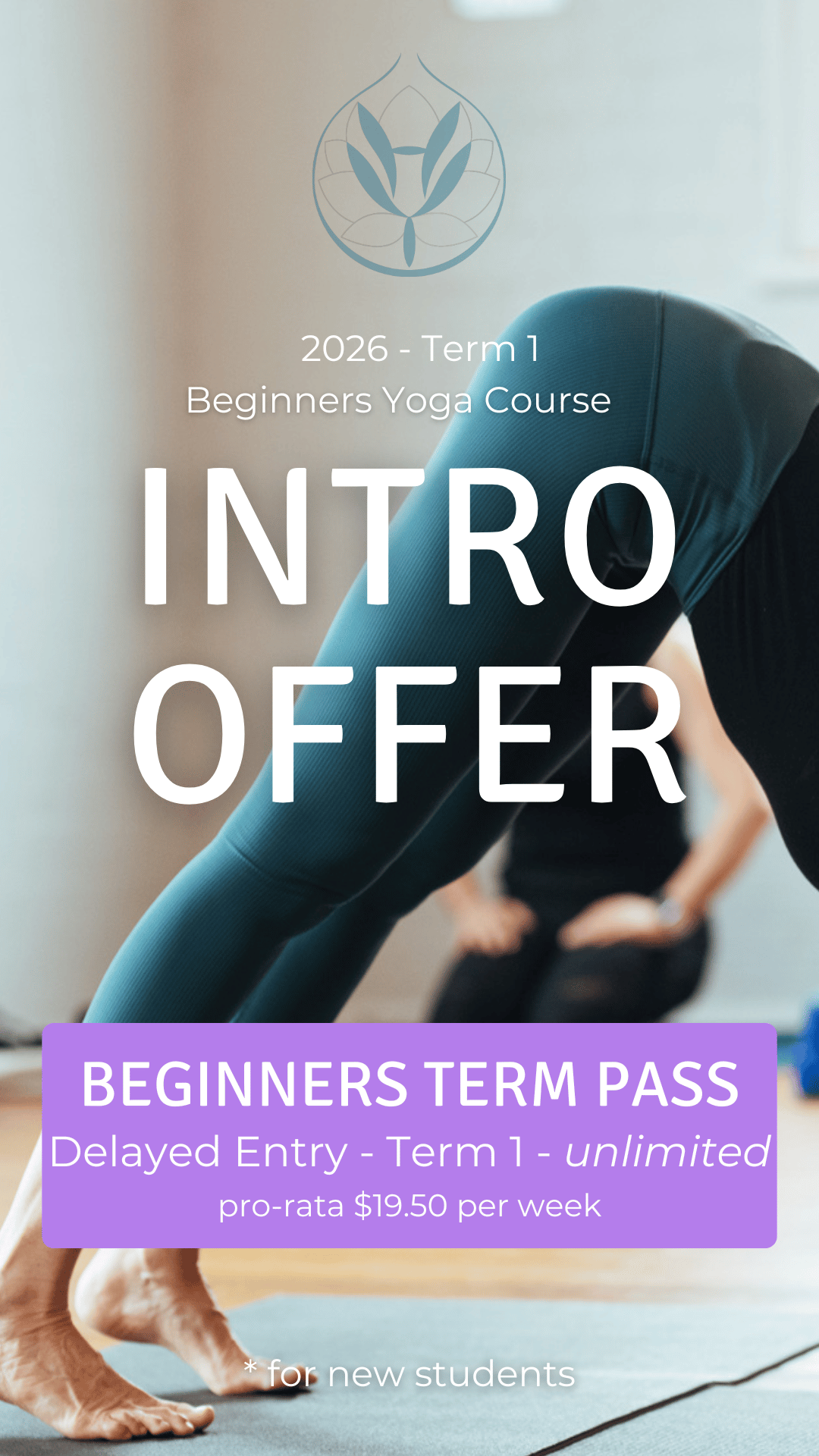 Intro Offer Beginners Classes