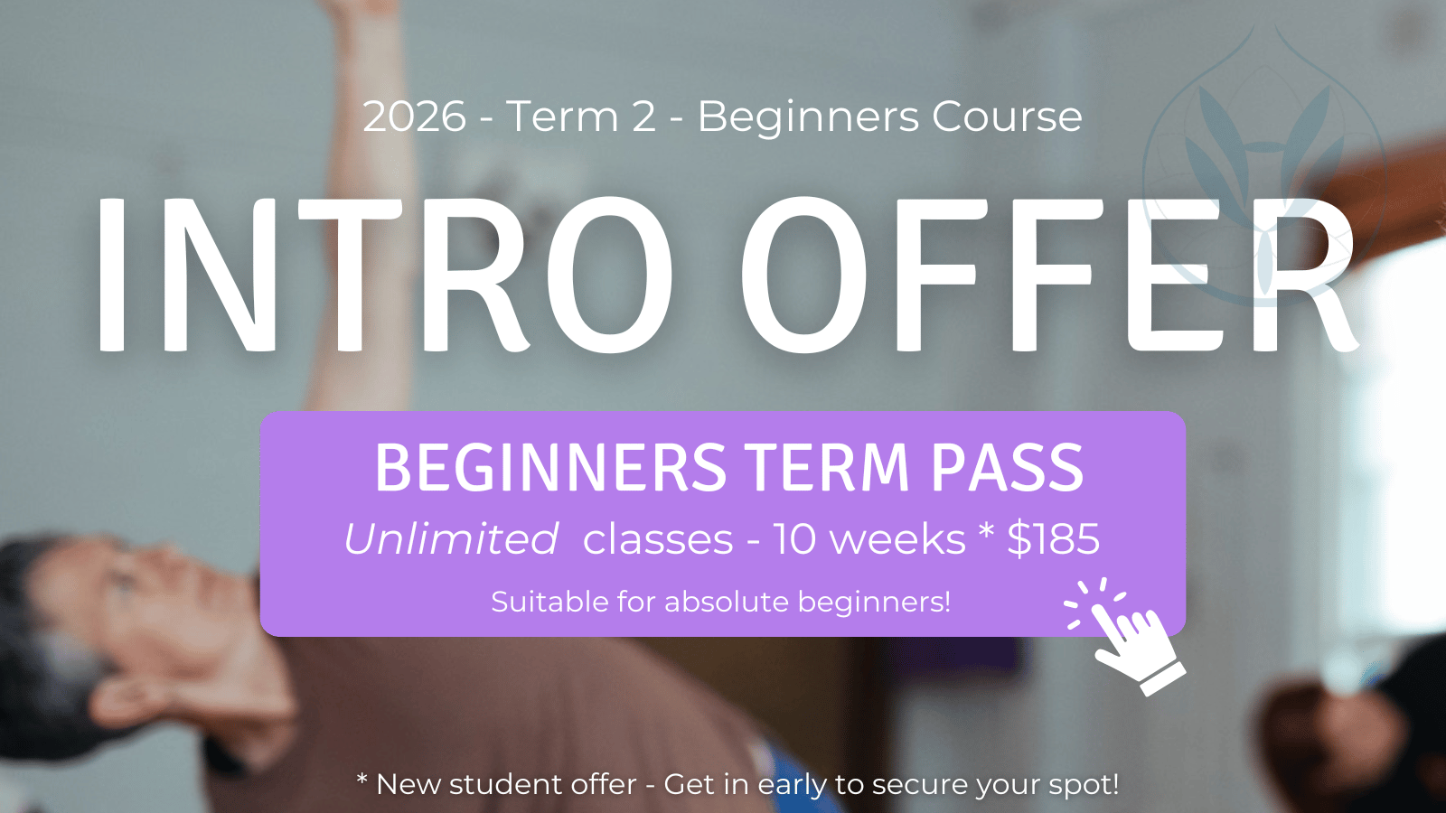Intro Offer Beginners Classes