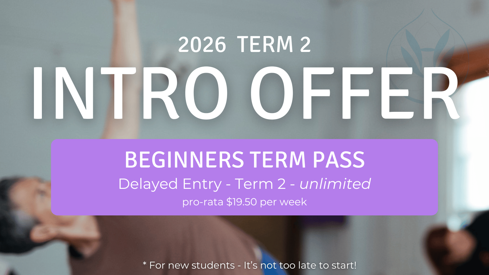 Intro Offer Beginners Classes