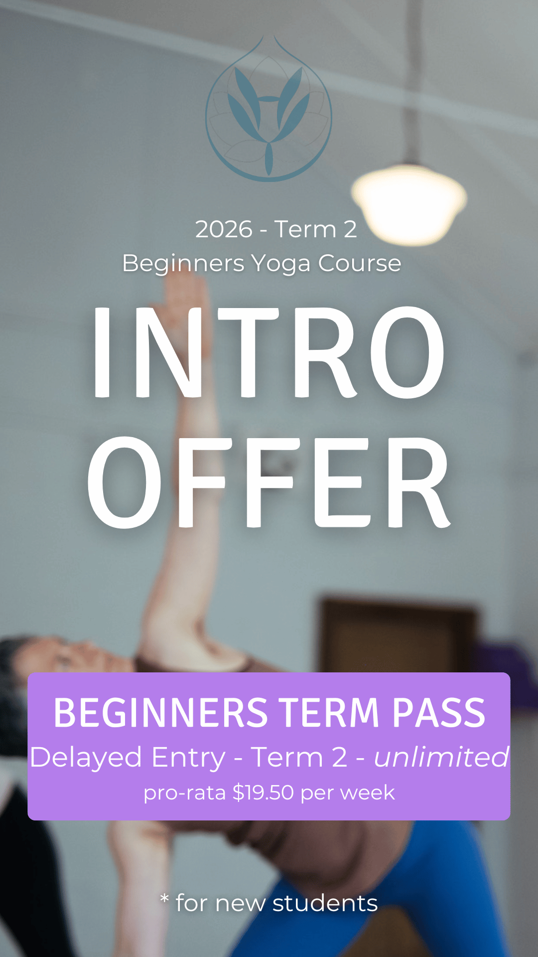 Intro Offer Beginners Classes