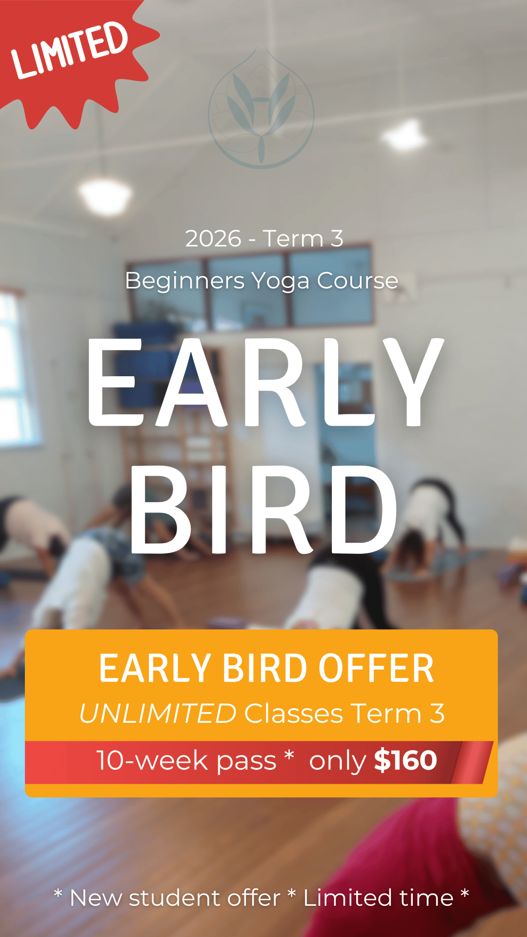 Intro Offer Beginners Classes