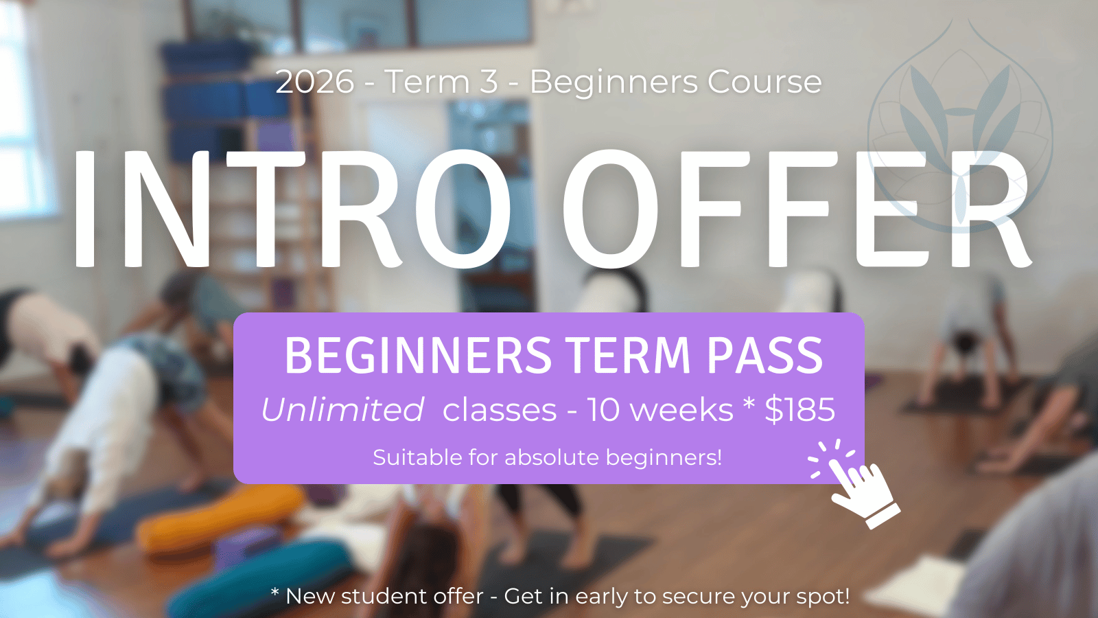 Intro Offer Beginners Classes