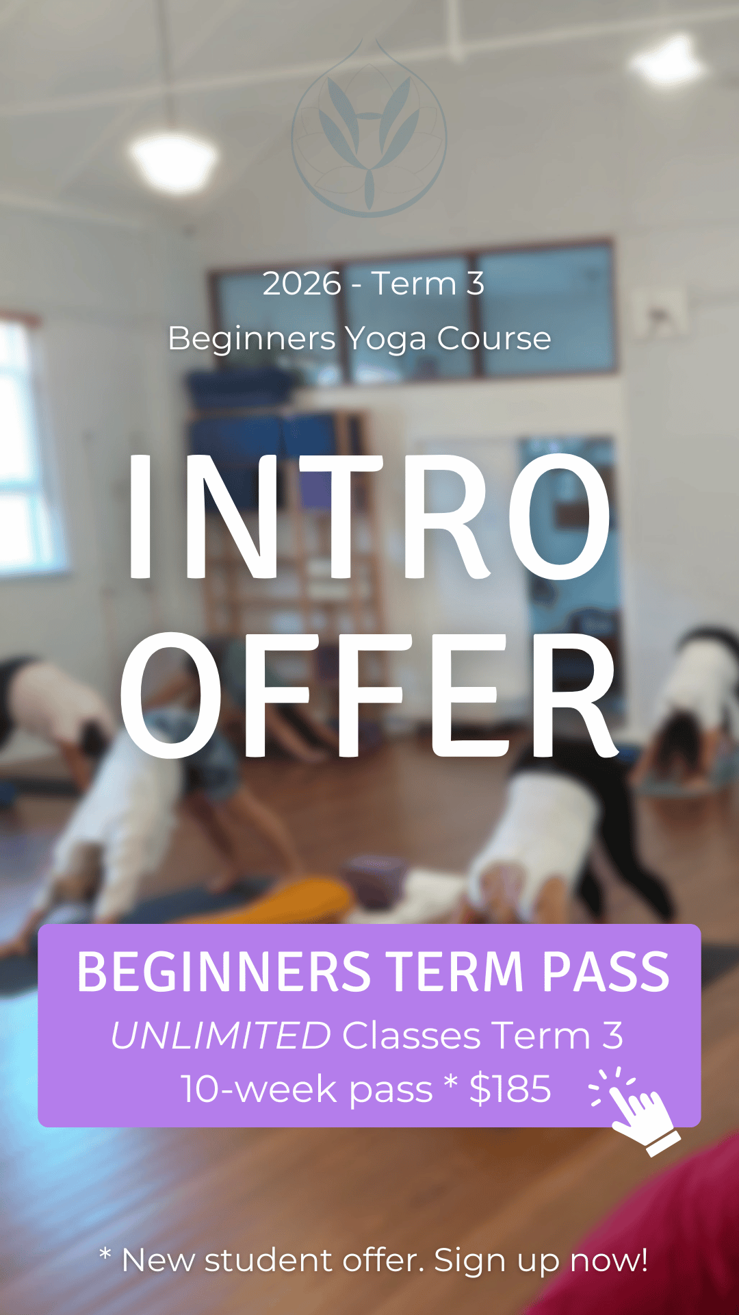 Intro Offer Beginners Classes