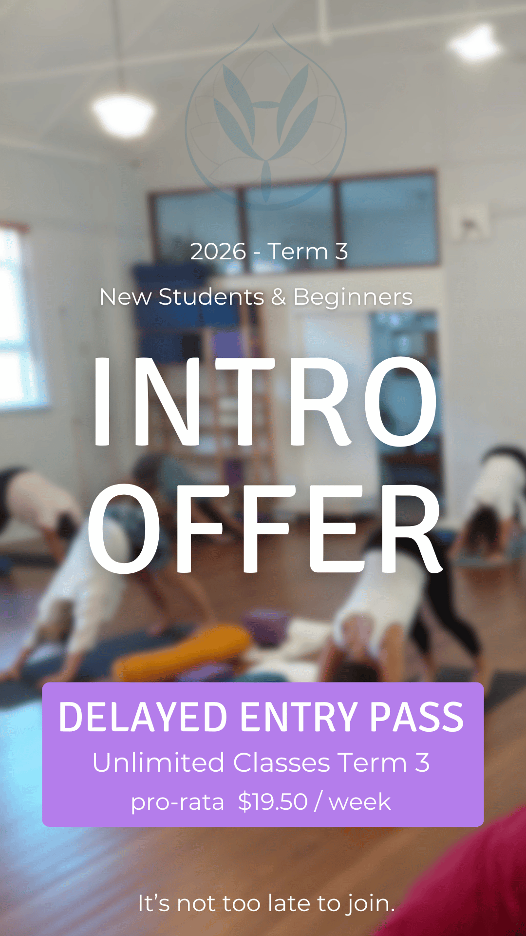 Intro Offer Beginners Classes