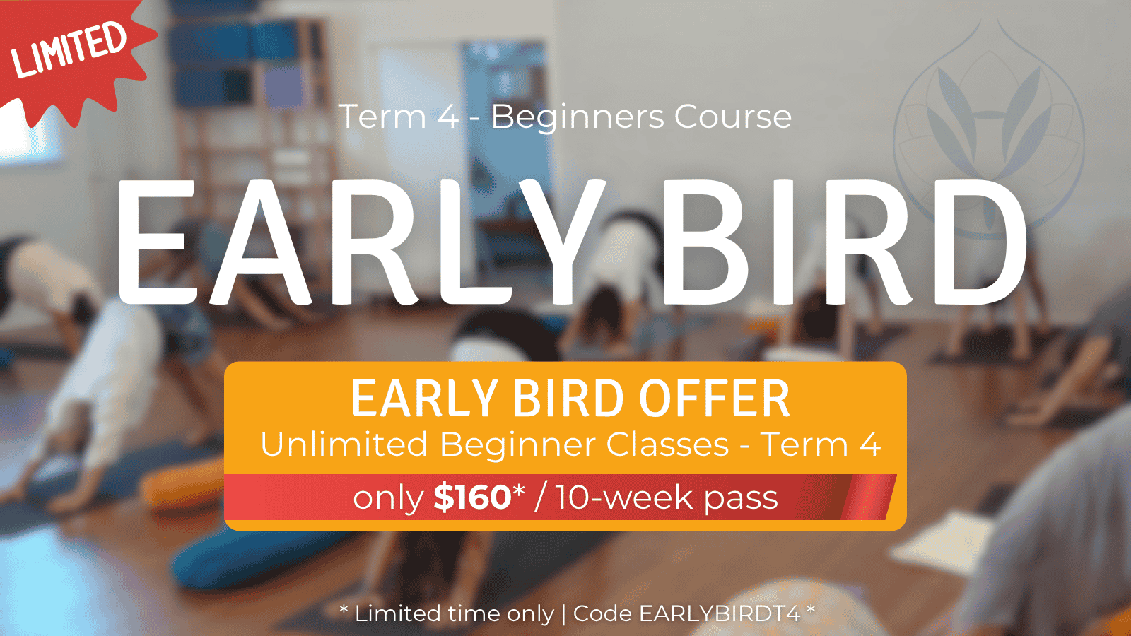 Intro Offer Beginners Classes