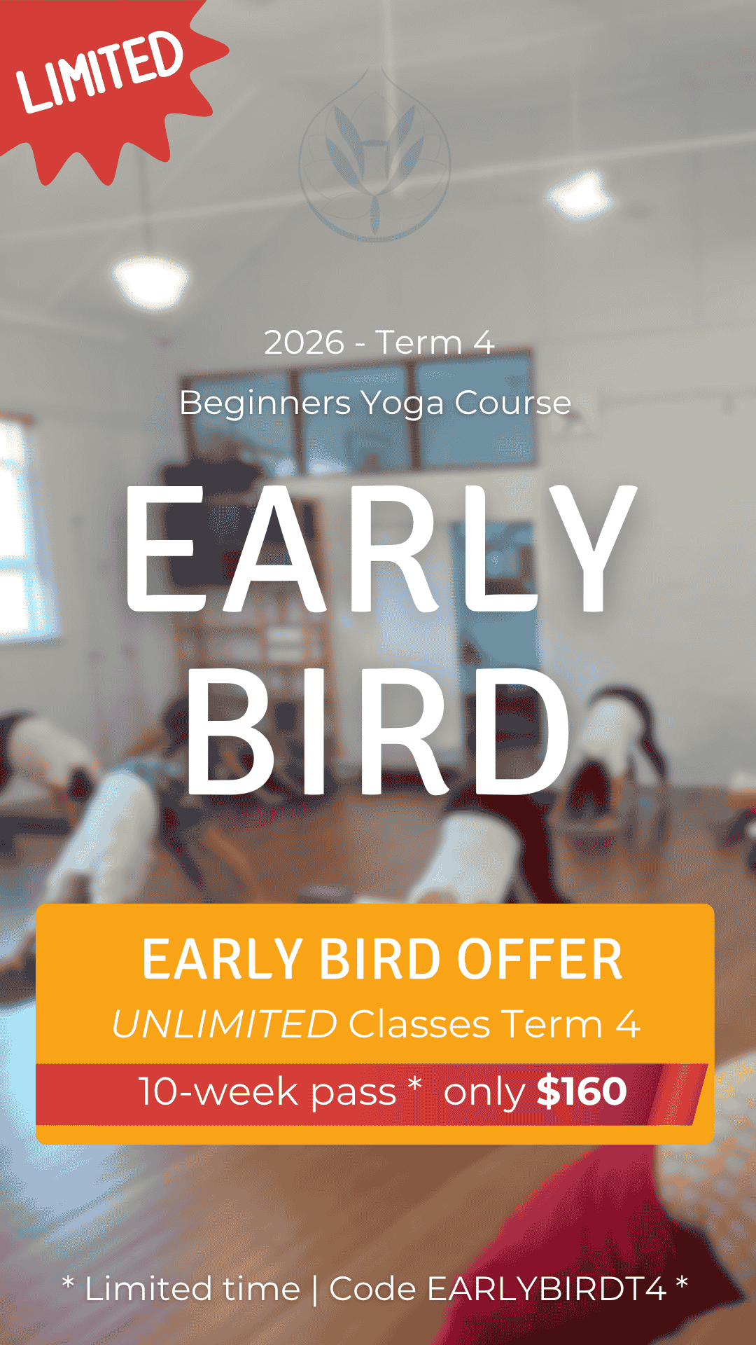 Intro Offer Beginners Classes