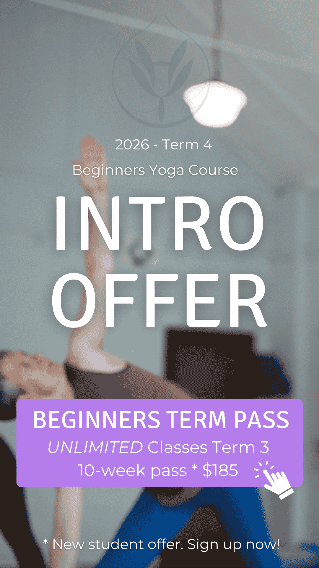Intro Offer Beginners Classes