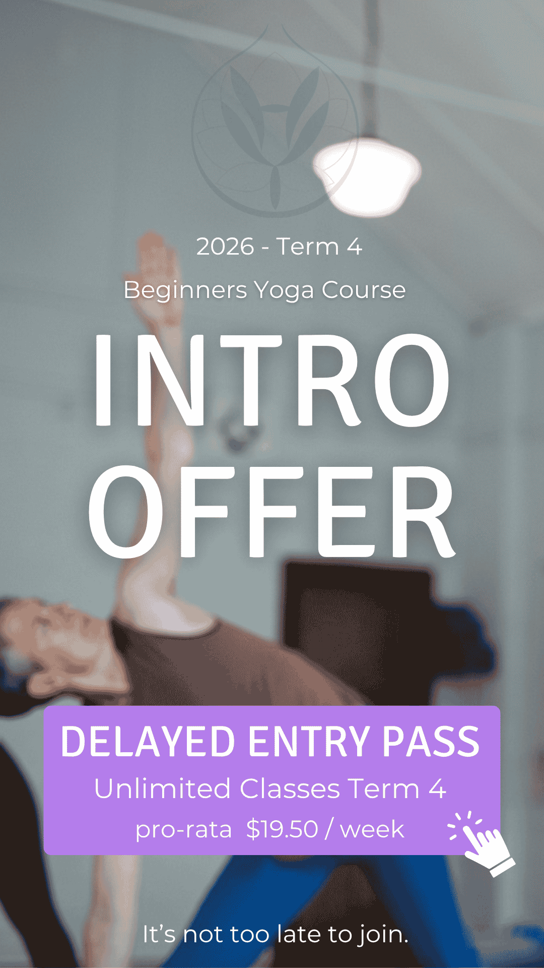 Intro Offer Beginners Classes
