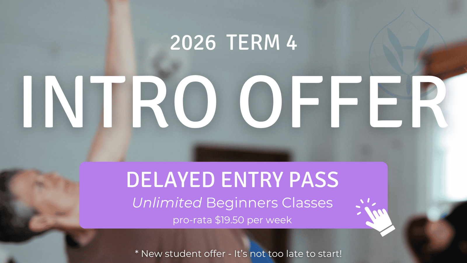 Intro Offer Beginners Classes