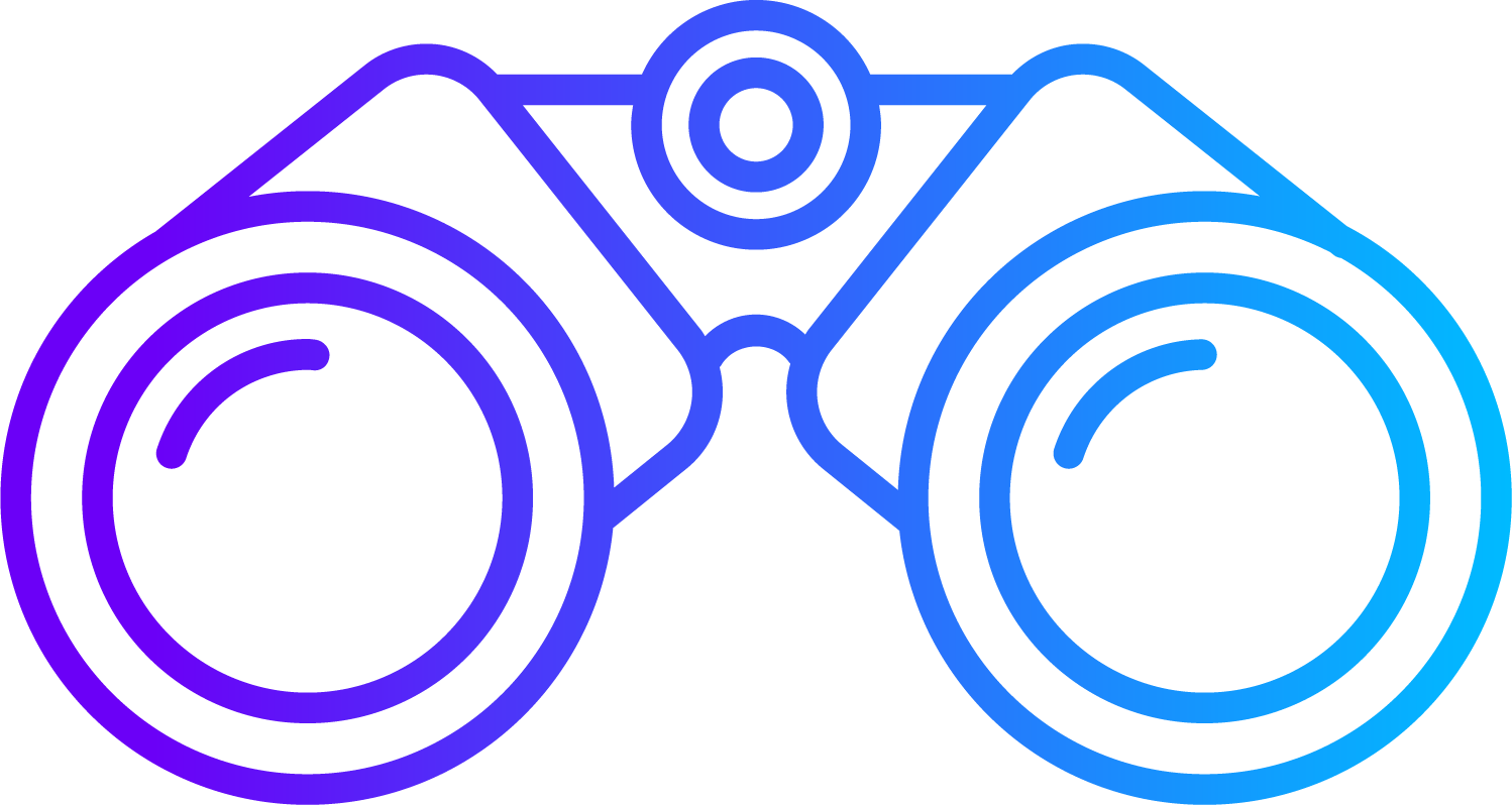 Visión P2P