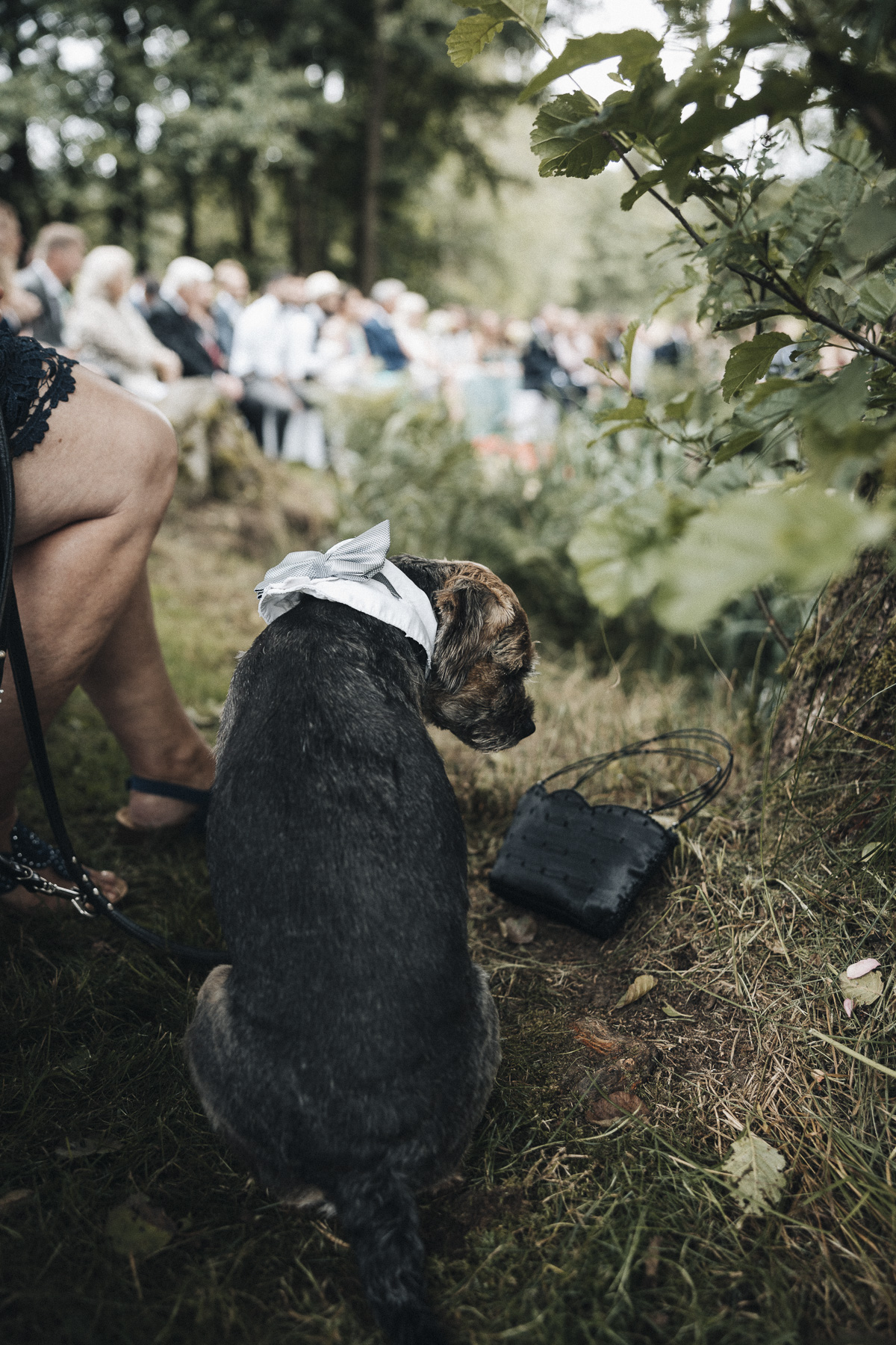 Gut dietersberg Hochzeit schC3B6nsee – Aufnahme 170