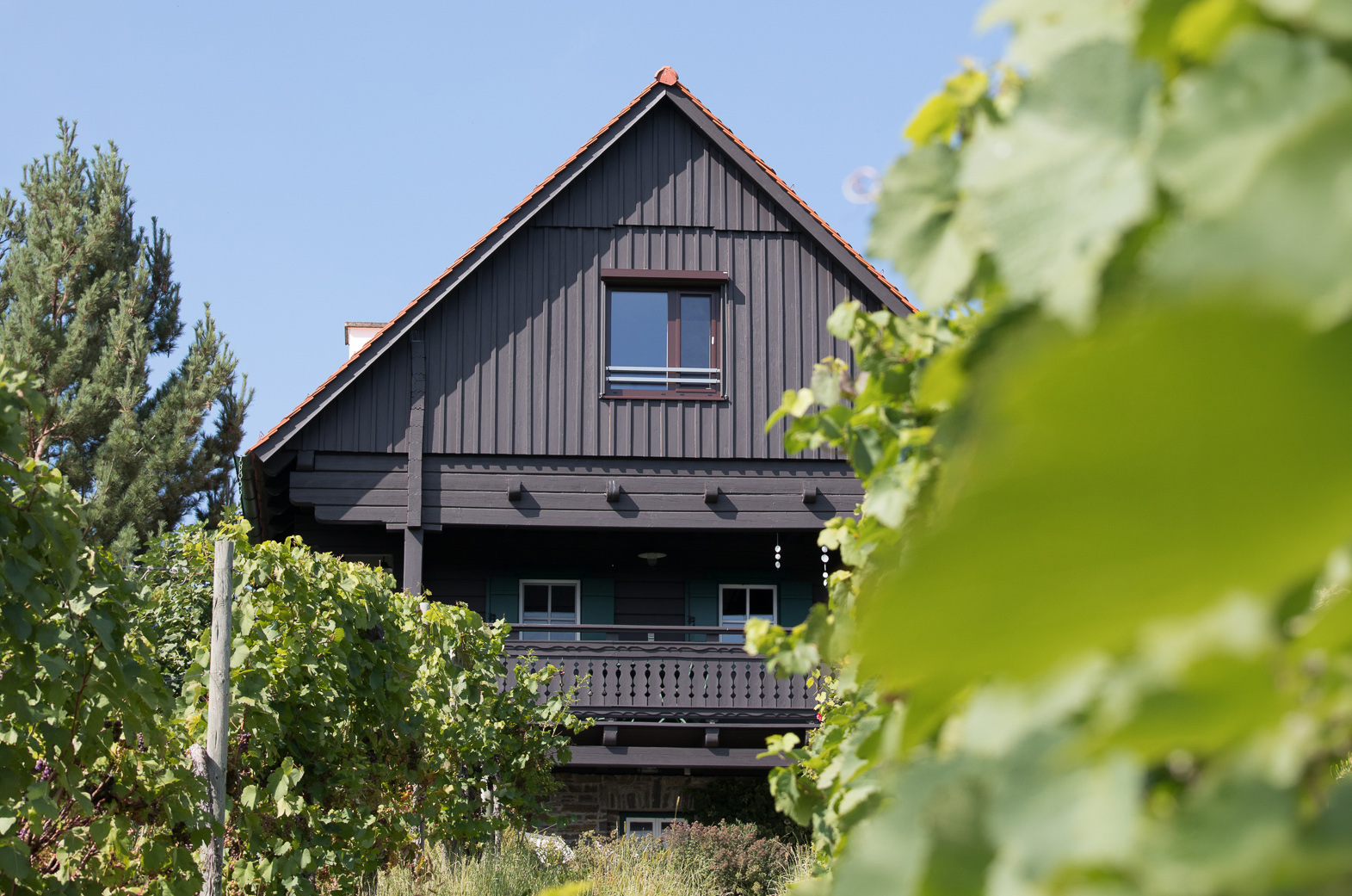 Traditionelles Holzhaus mit schwarzer Fassade und rotem Dach, umgeben von grünem Laub.