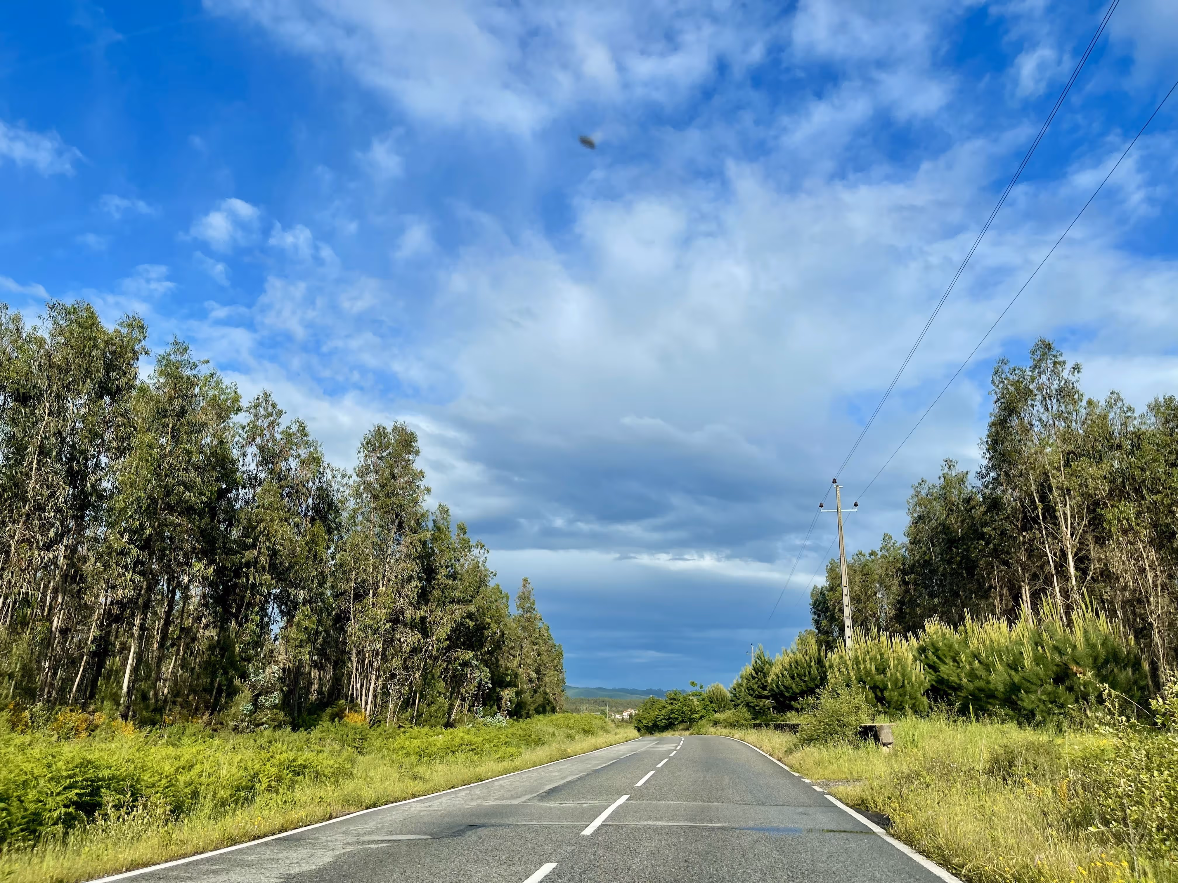 Estrada rodeada de árvores sob céu azul perto da Casa da Seara