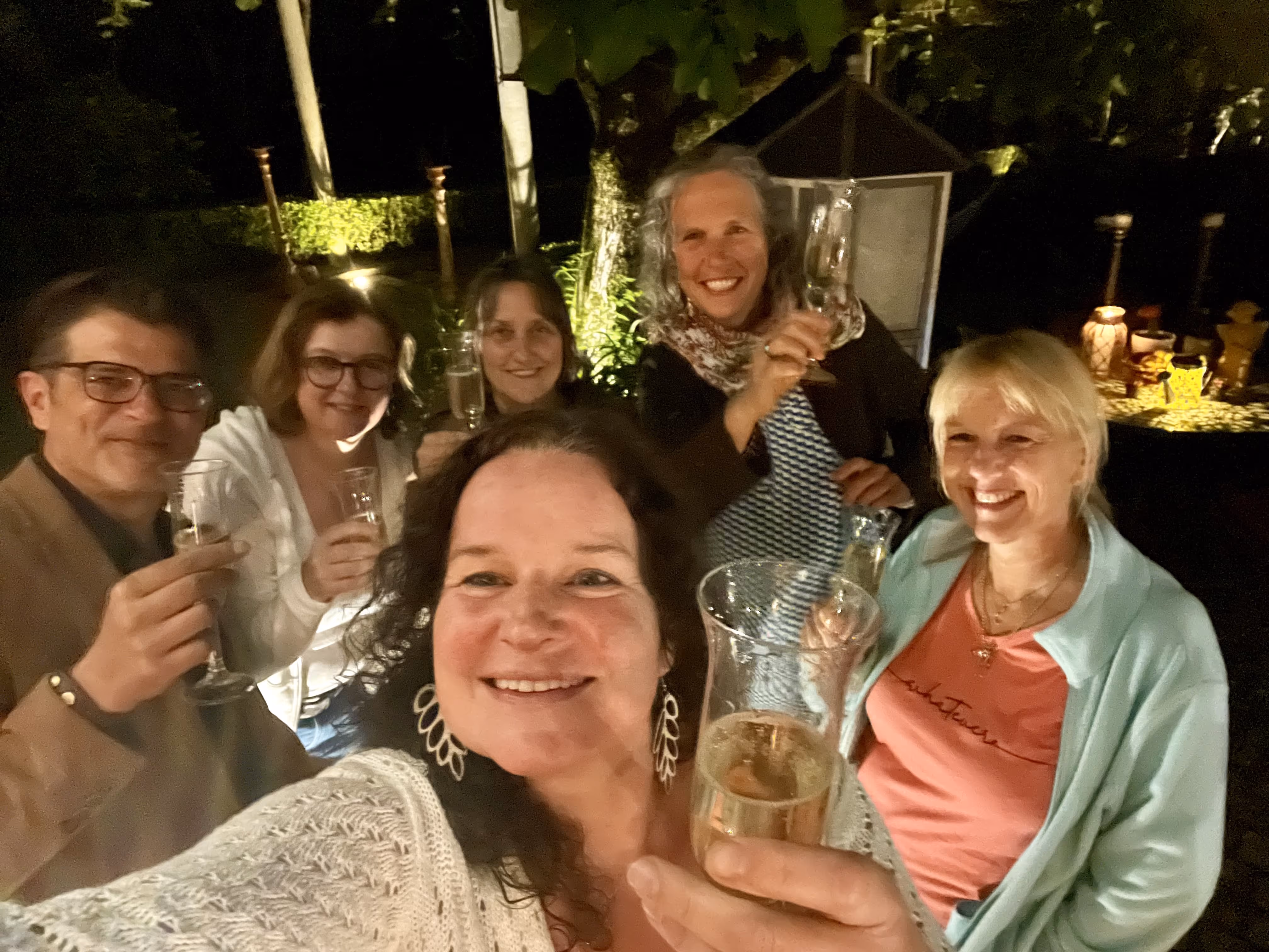 Grupo de amigos a brindar no terraço da Casa da Seara à noite