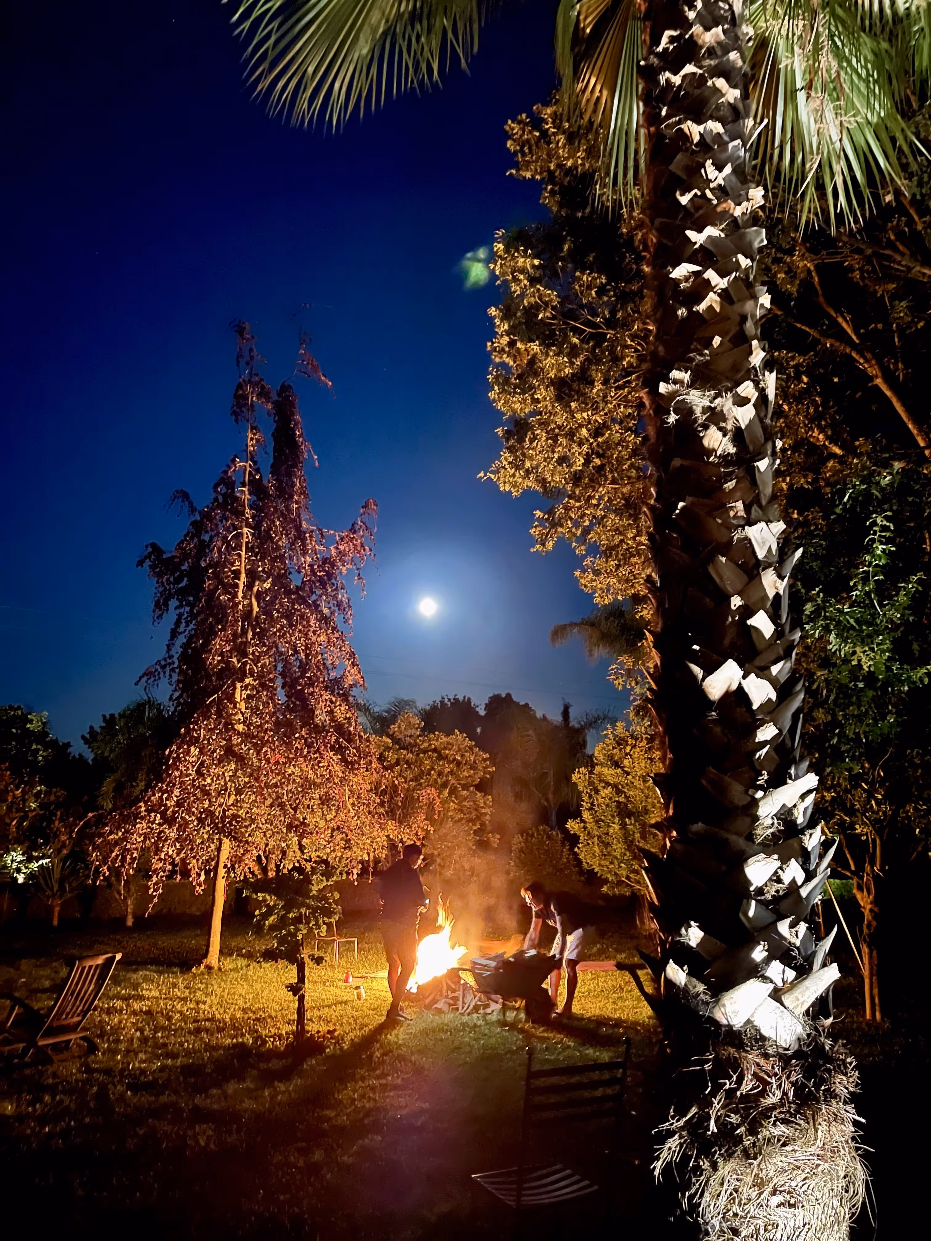 Fogueira acesa junto a palmeira e lua cheia no jardim da Casa da Seara à noite